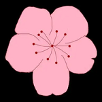 樱花视频免费版图片